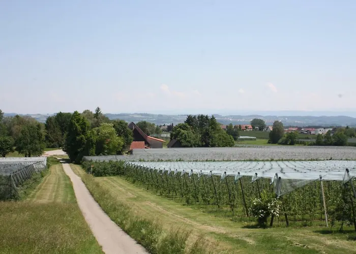 Hof Schuetterle Apartment